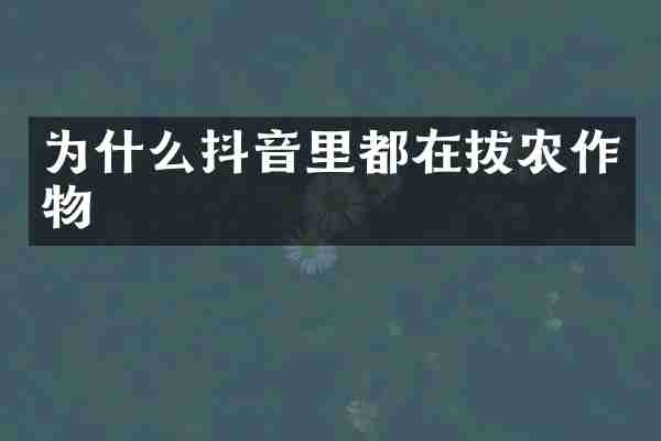 为什么抖音里都在拔农作物