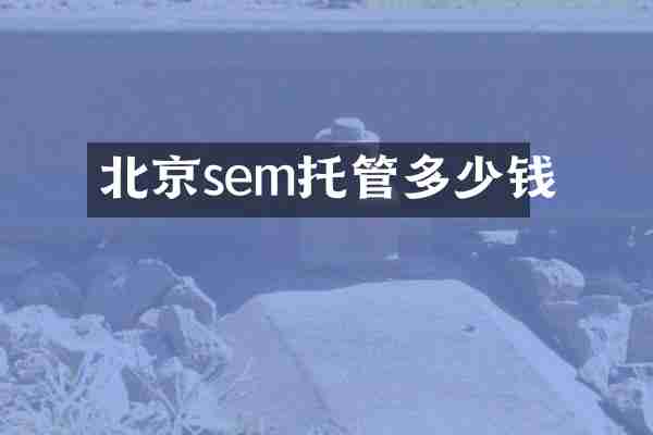 北京sem托管多少钱