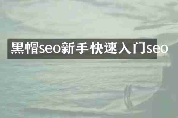 黑帽seo新手快速入门seo