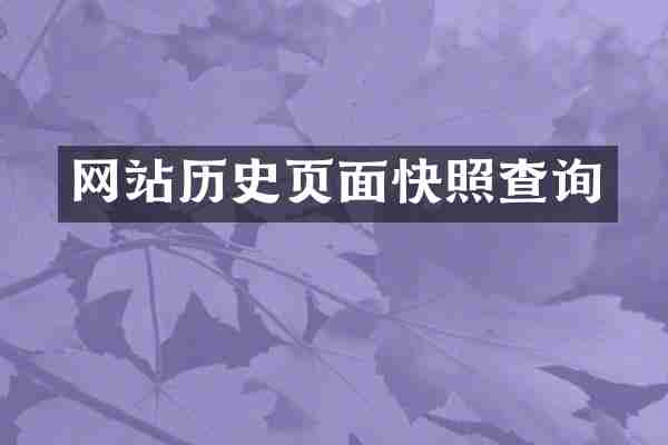 网站历史页面快照查询