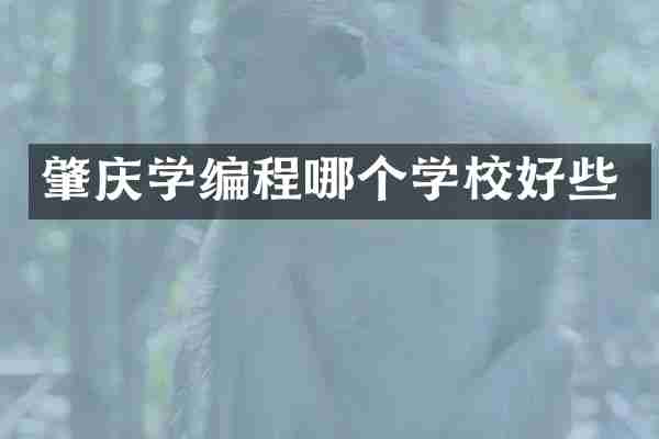 肇庆学编程哪个学校好些