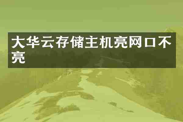 大华云存储主机亮网口不亮