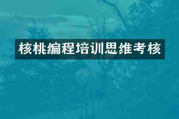 核桃编程培训思维考核