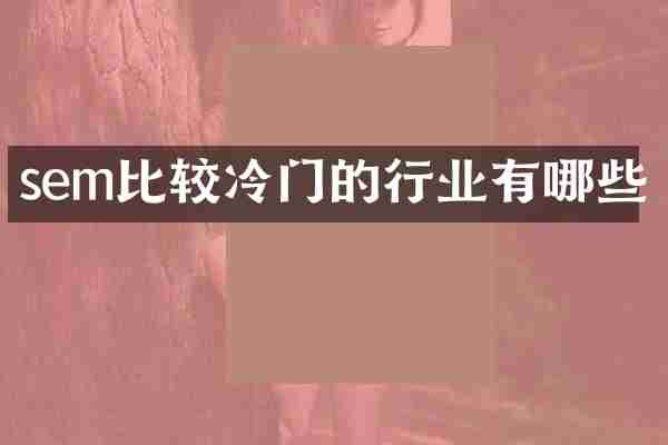 sem比较冷门的行业有哪些