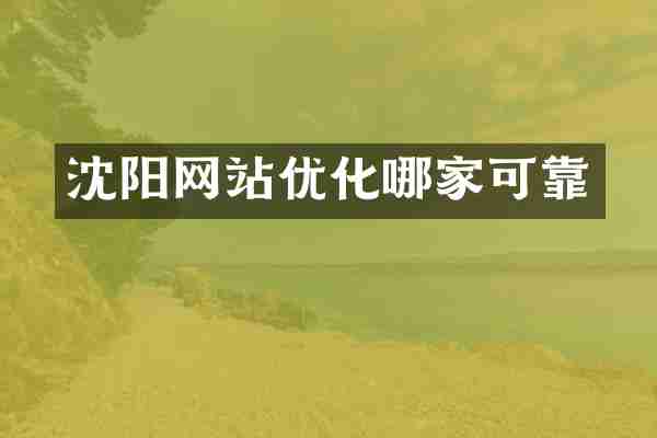 沈阳网站优化哪家可靠