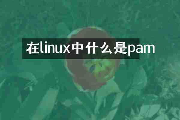 在linux中什么是pam