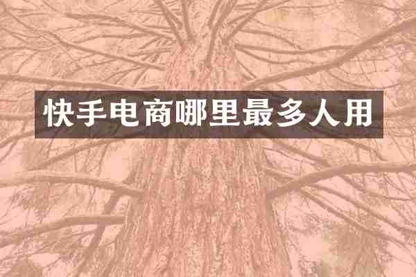快手电商哪里最多人用