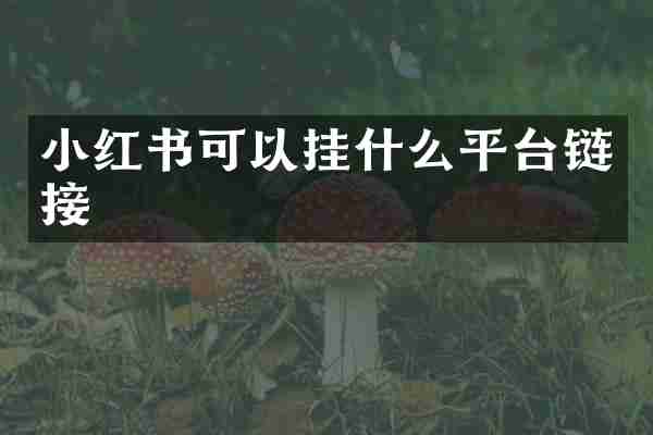 小红书可以挂什么平台链接