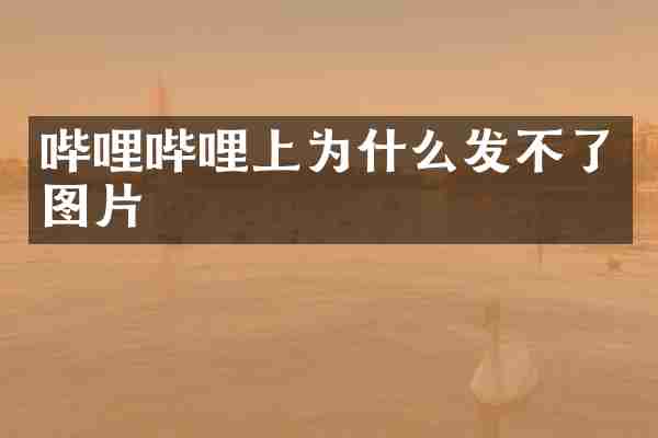 哔哩哔哩上为什么发不了图片