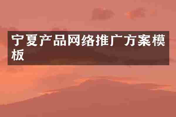 宁夏产品网络推广方案模板