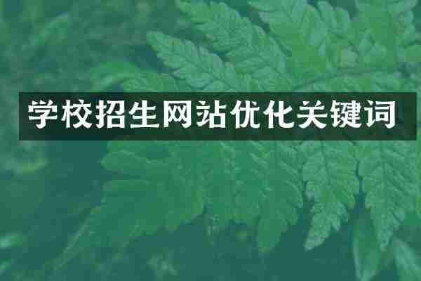 学校招生网站优化关键词