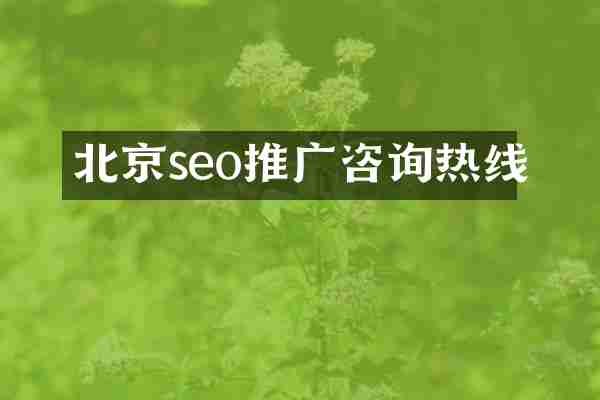 北京seo推广咨询热线