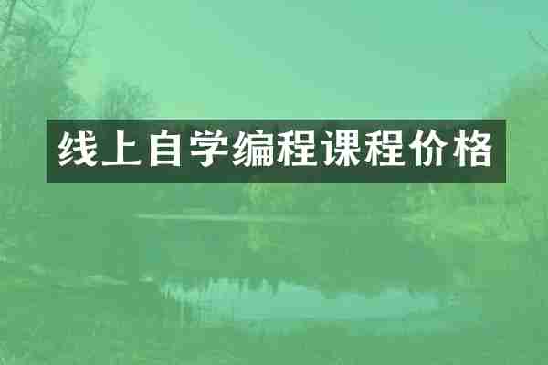 线上自学编程课程价格