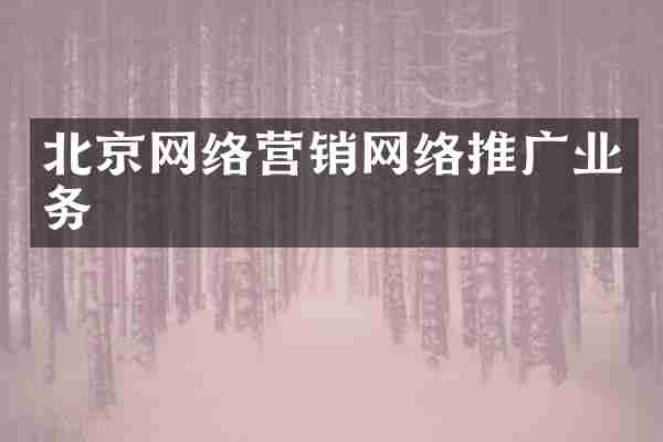 北京网络营销网络推广业务
