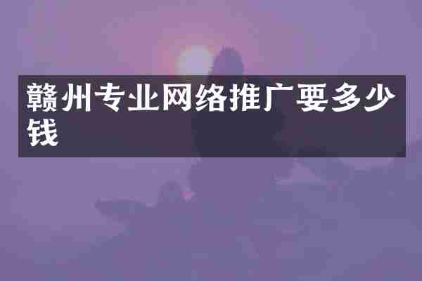 赣州专业网络推广要多少钱
