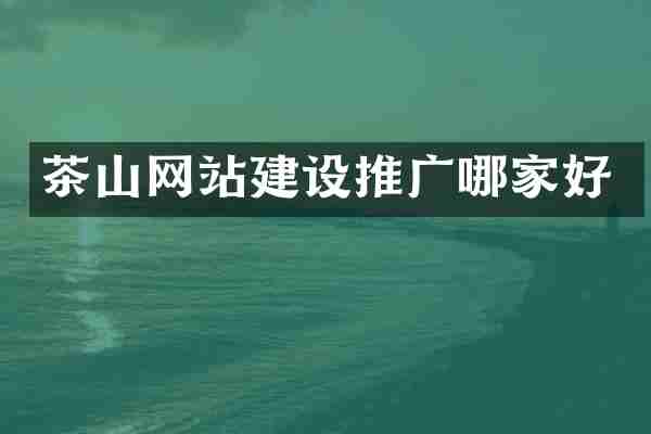 茶山网站建设推广哪家好