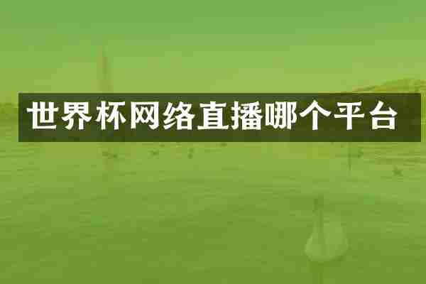 世界杯网络直播哪个平台
