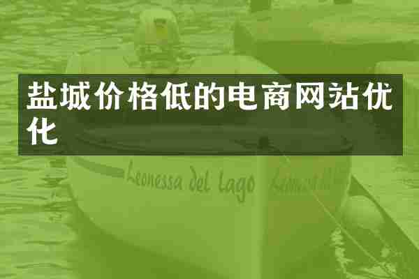 盐城价格低的电商网站优化