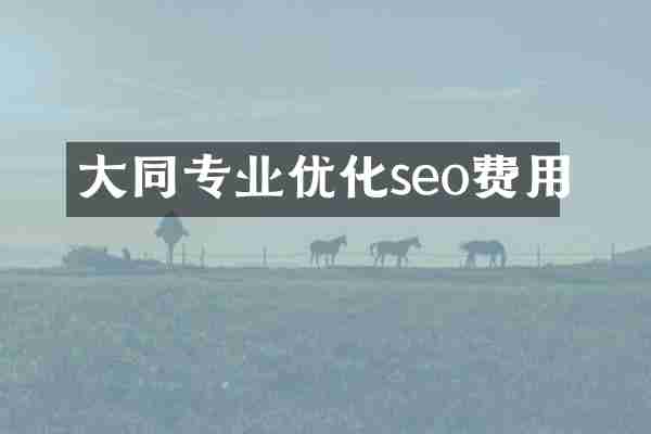 大同专业优化seo费用