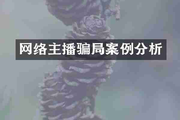 网络主播骗局案例分析