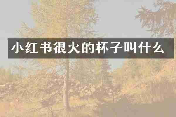 小红书很火的杯子叫什么