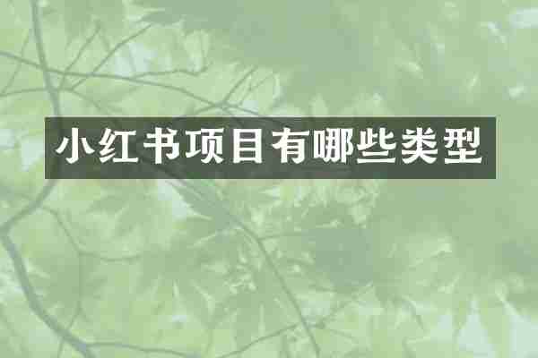 小红书项目有哪些类型
