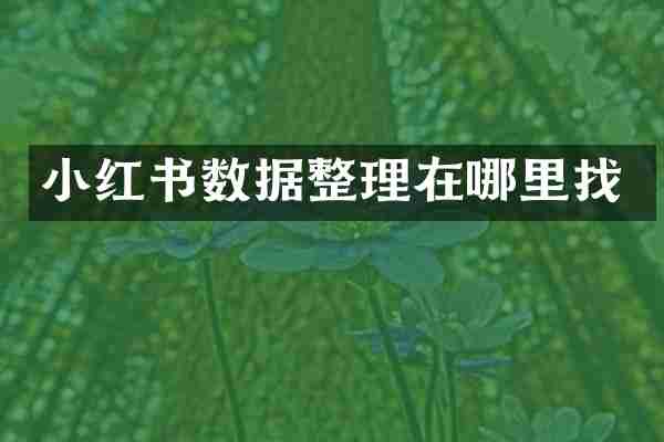 小红书数据整理在哪里找