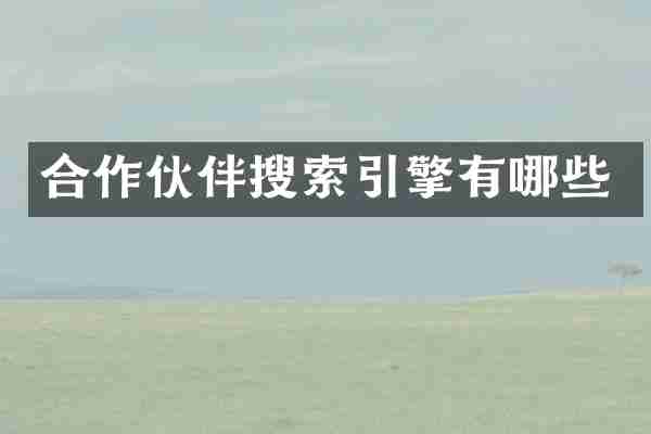 合作伙伴搜索引擎有哪些