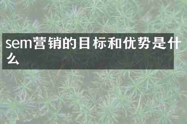 sem营销的目标和优势是什么