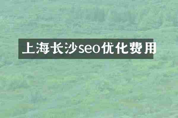 上海长沙seo优化费用