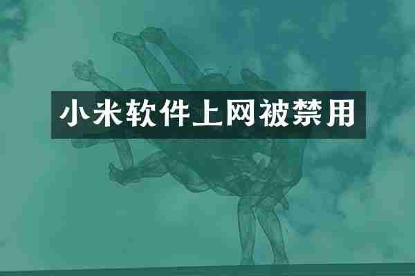 小米软件上网被禁用