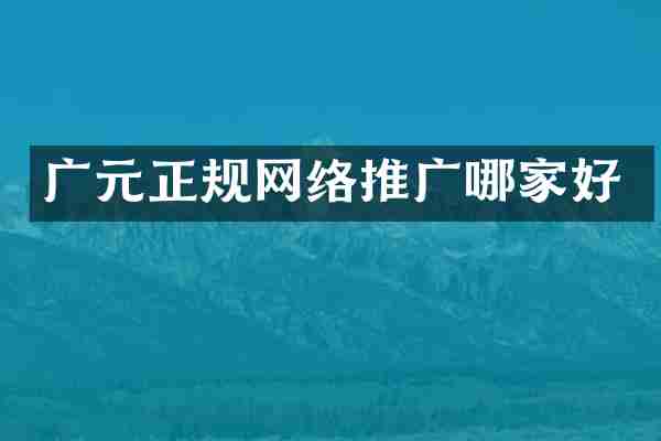 广元正规网络推广哪家好