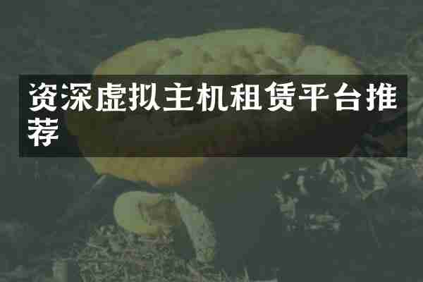 资深虚拟主机租赁平台推荐