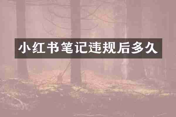 小红书笔记违规后多久