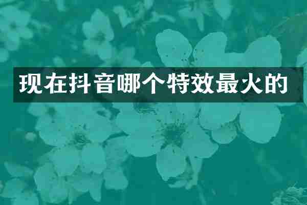 现在抖音哪个特效最火的