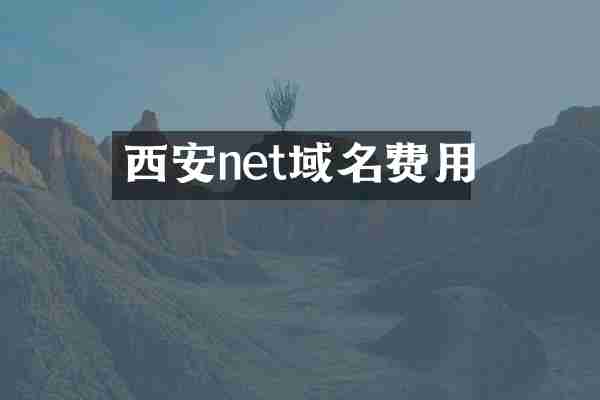 西安net域名费用