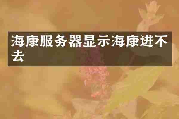 海康服务器显示海康进不去