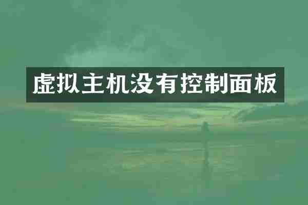 虚拟主机没有控制面板