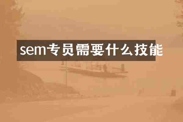 sem专员需要什么技能
