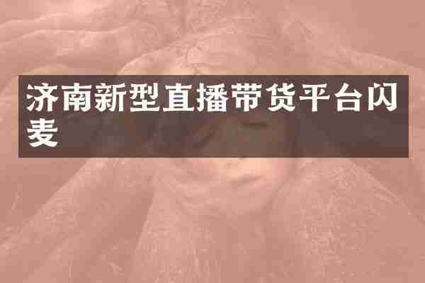 济南新型直播带货平台闪麦