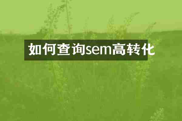 如何查询sem高转化