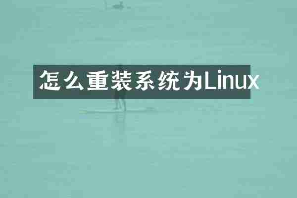 怎么重装系统为Linux