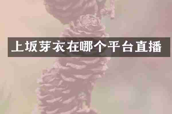 上坂芽衣在哪个平台直播