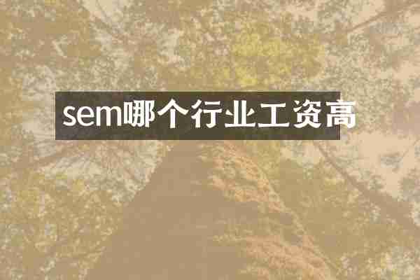 sem哪个行业工资高