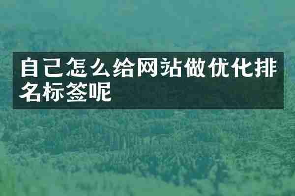 自己怎么给网站做优化排名标签呢