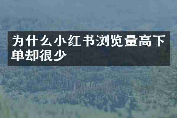 为什么小红书浏览量高下单却很少