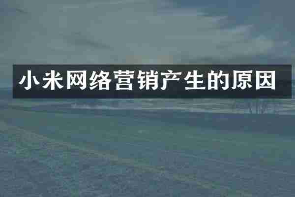 小米网络营销产生的原因