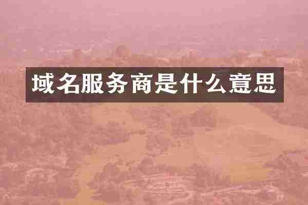 域名服务商是什么意思