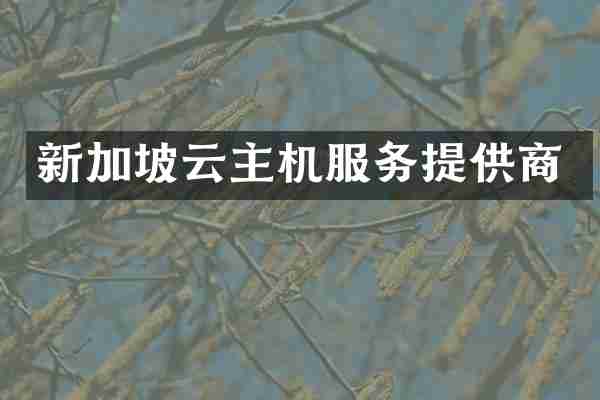新加坡云主机服务提供商