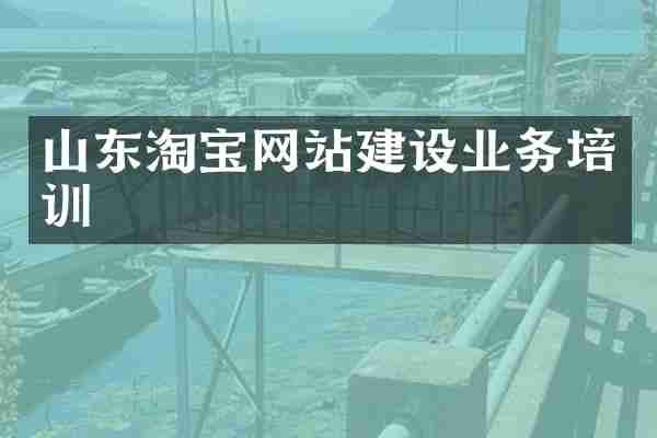 山东淘宝网站建设业务培训